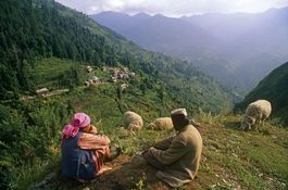 Honeymoon at Himachal heights (6N / 7D)